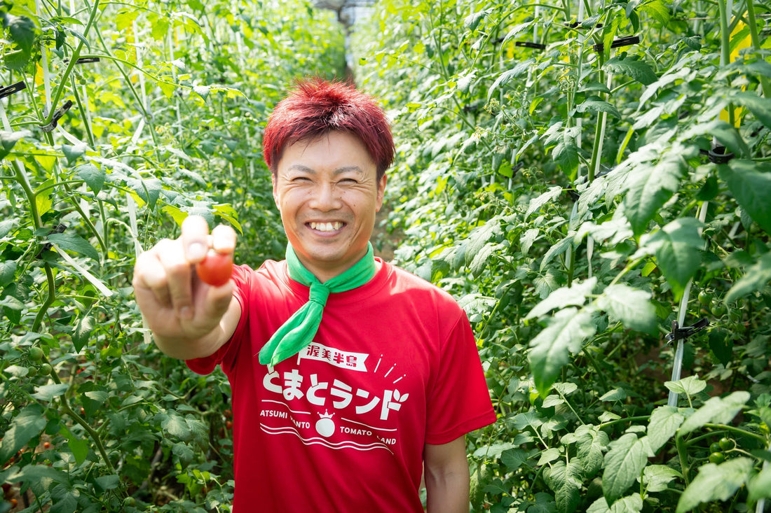渥美半島生まれのミニトマト「出汁推し実」の驚くべき栄養価と美味しさの秘密