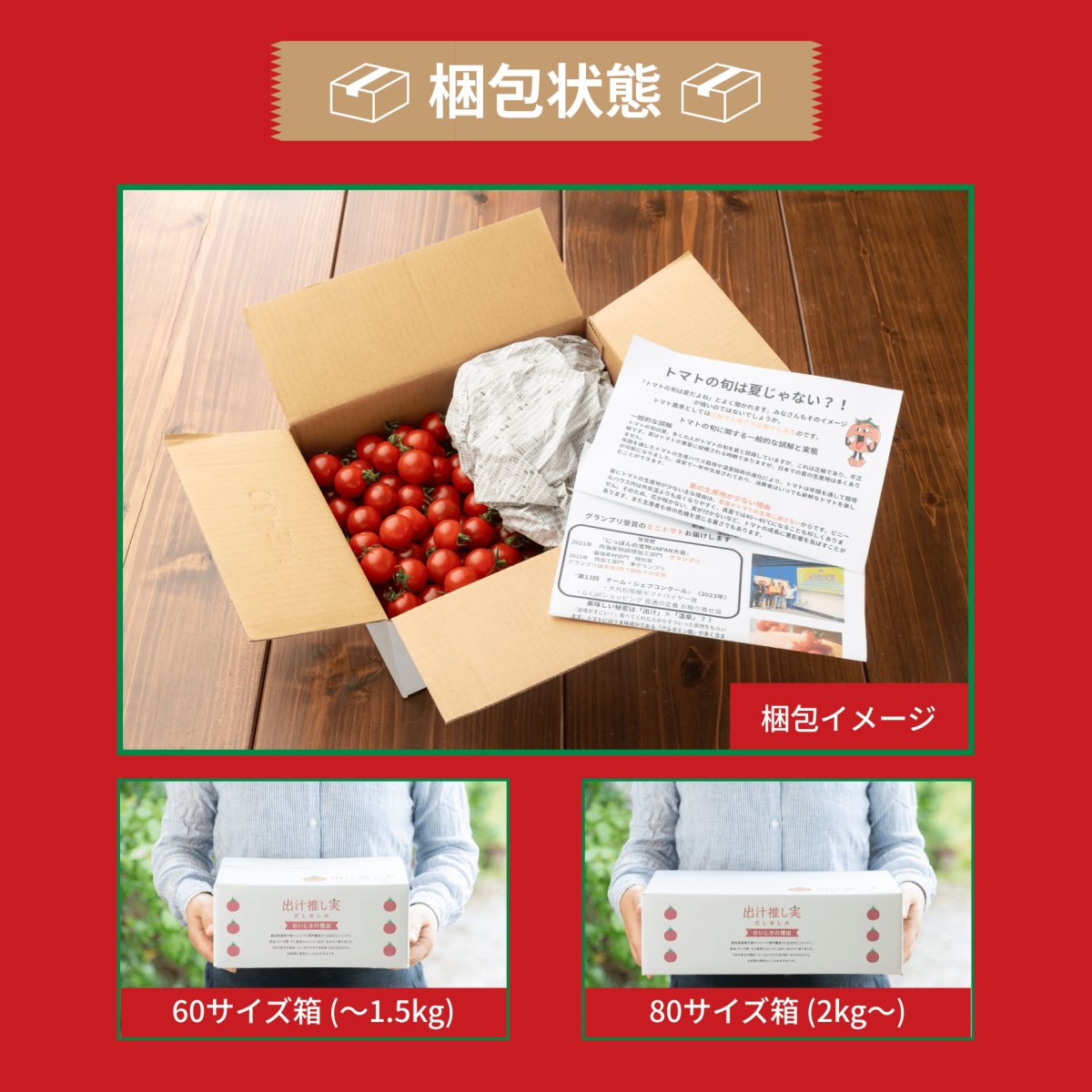 10月発送予約 子どもに大人気!濃厚ミニトマト900g 産地直送 愛知県田原市産 出汁推し実 だしおしみ 送料無料 - 渥美半島とまとランド