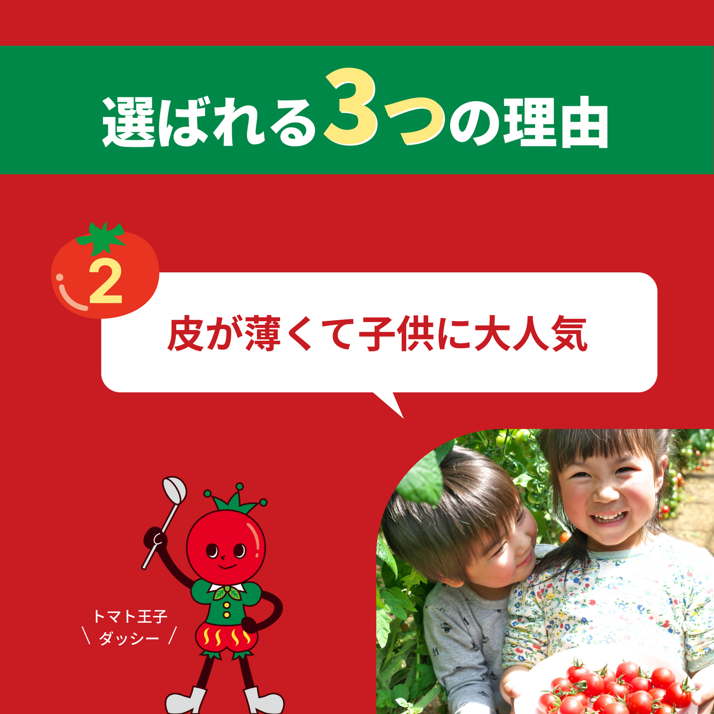 【赤い宝石箱】2段 御歳暮・ギフト・贈り物 濃厚ミニトマト 日時指定可能 熨斗対応可能【愛知県田原市産】