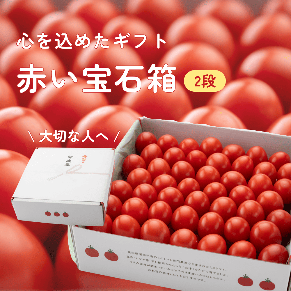 まるで赤い宝石のようなギフト用のミニトマト2段の中身