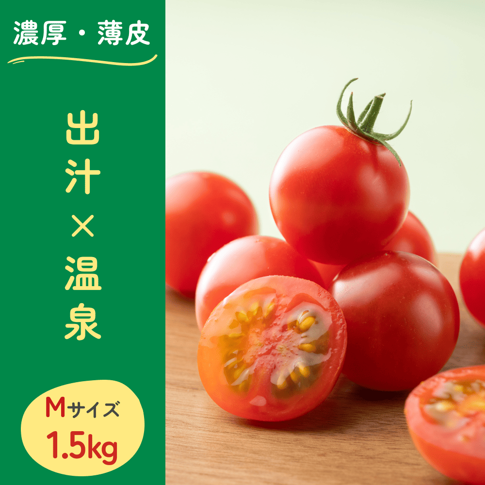 真っ赤で美味しそうなミニトマト msise 1.5kg