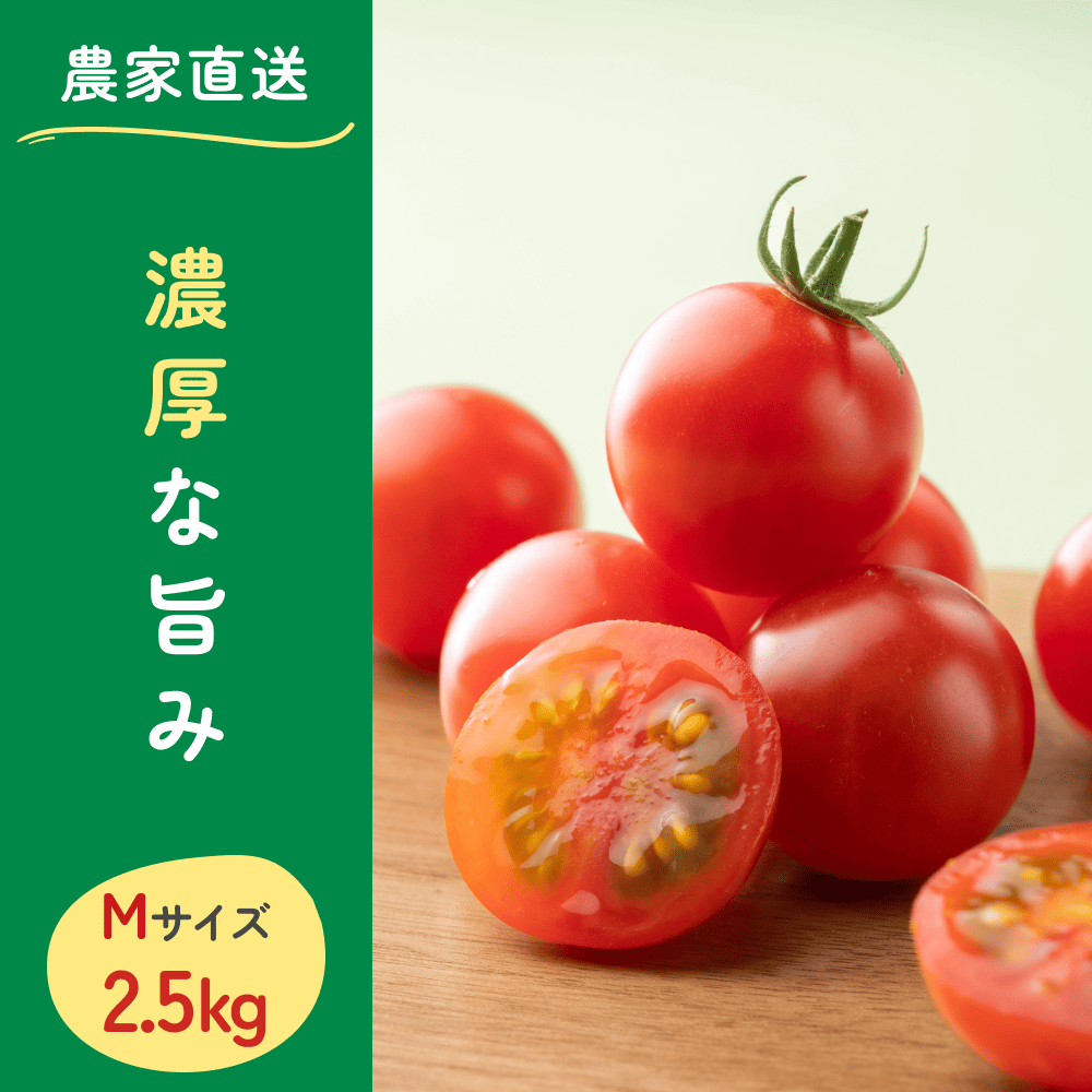真っ赤で美味しそうなミニトマト msise 2.5kg