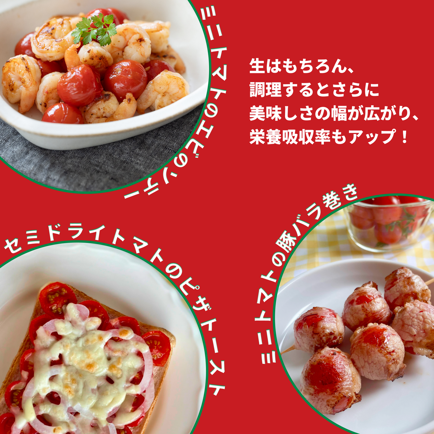 【母の日ギフト】2段 先行予約割8%off 濃厚ミニトマト 日時指定可能 【愛知県田原市産】