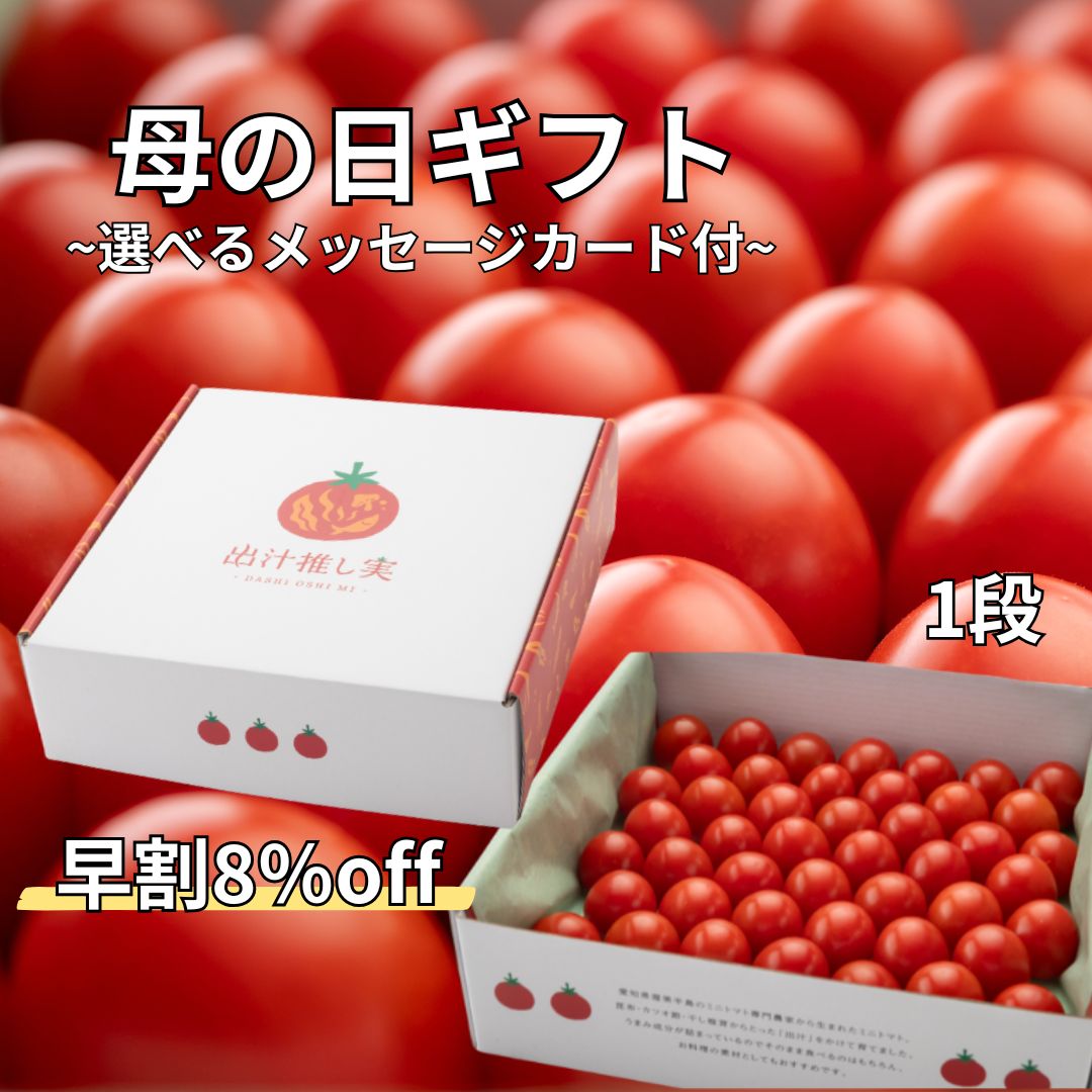 【母の日ギフト】1段 先行予約割8%off 濃厚ミニトマト 日時指定可能 【愛知県田原市産】