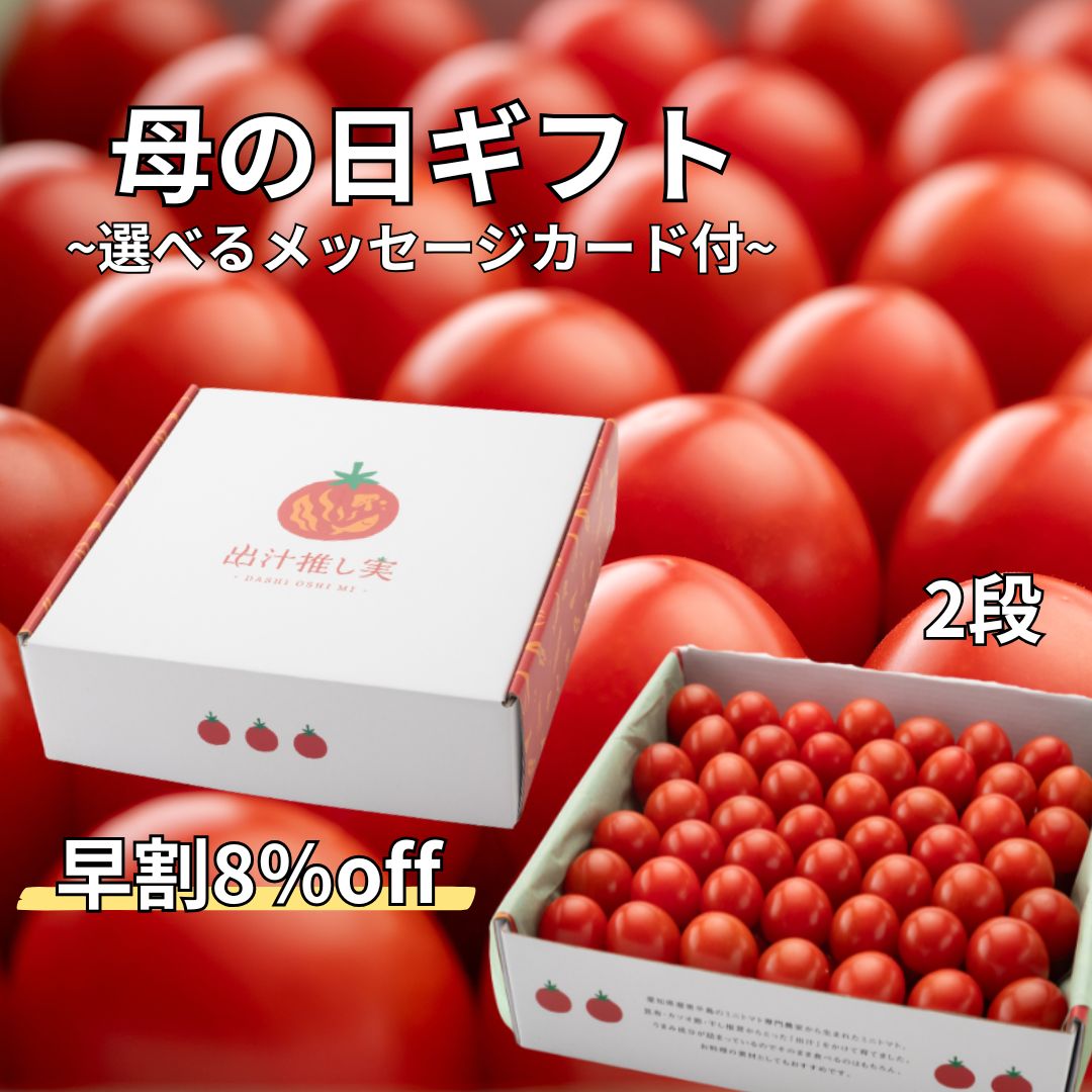 【母の日ギフト】2段 先行予約割8%off 濃厚ミニトマト 日時指定可能 【愛知県田原市産】