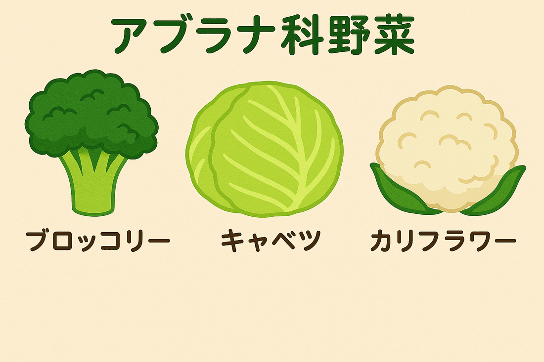 アブラナ科野菜のすべて：種類から健康維持への貢献、美味しい食べ方まで徹底解説！