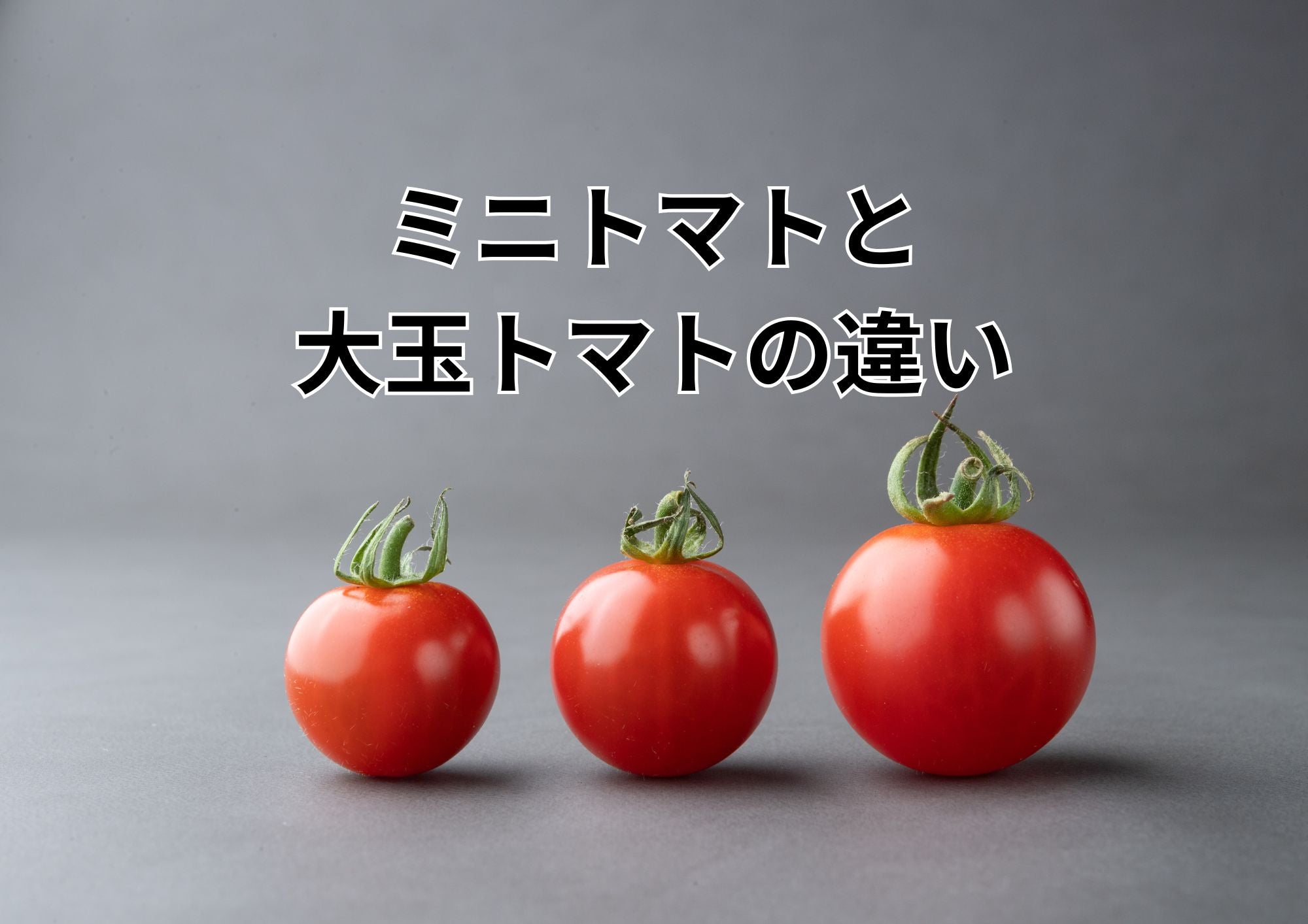 トマトとミニトマト、実はこんなに違う！栄養・味・選び方まで徹底解説
