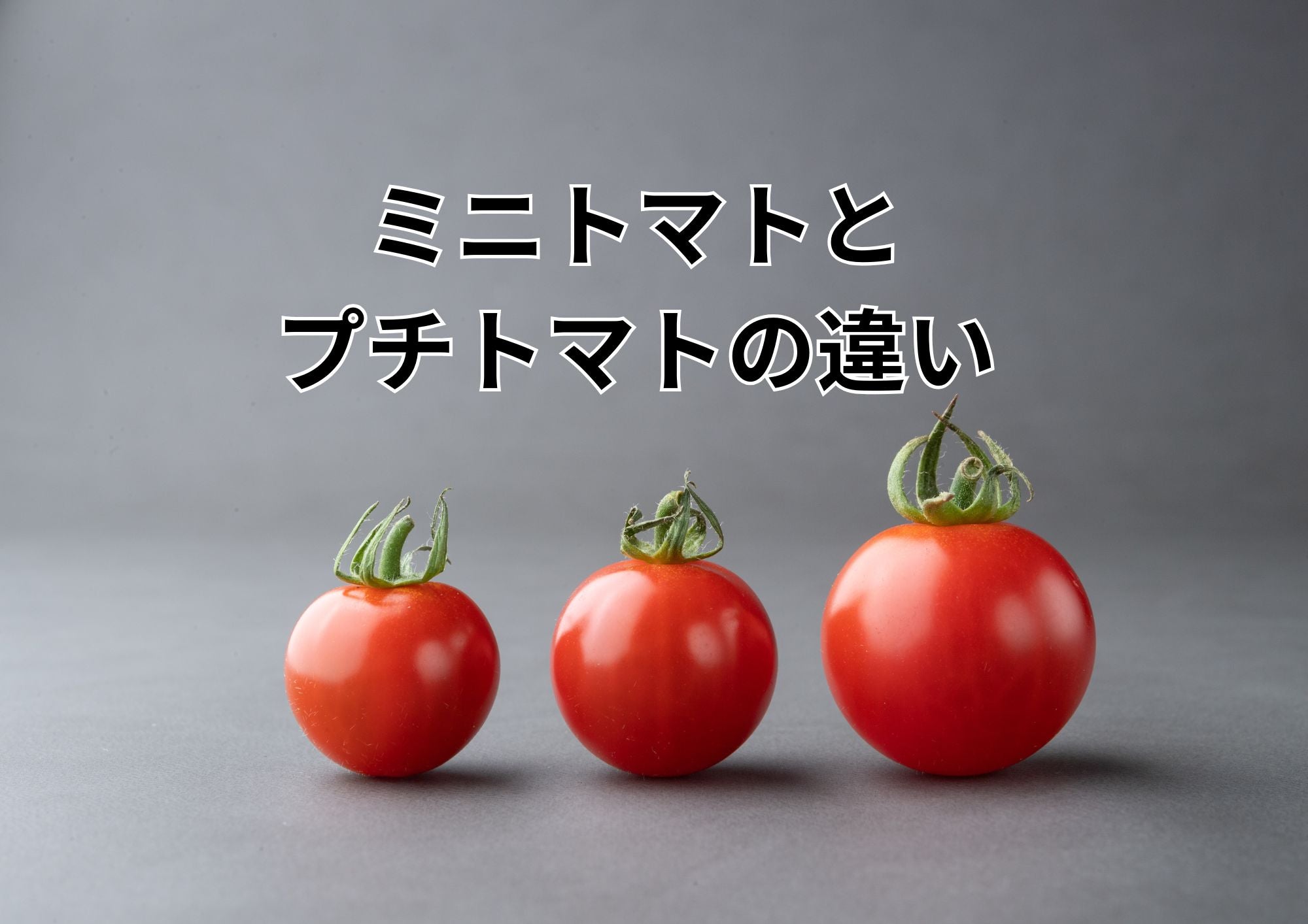 「ミニトマト」と「プチトマト」は同じ？違う？名前の由来から栄養、見分け方まで徹底解説！