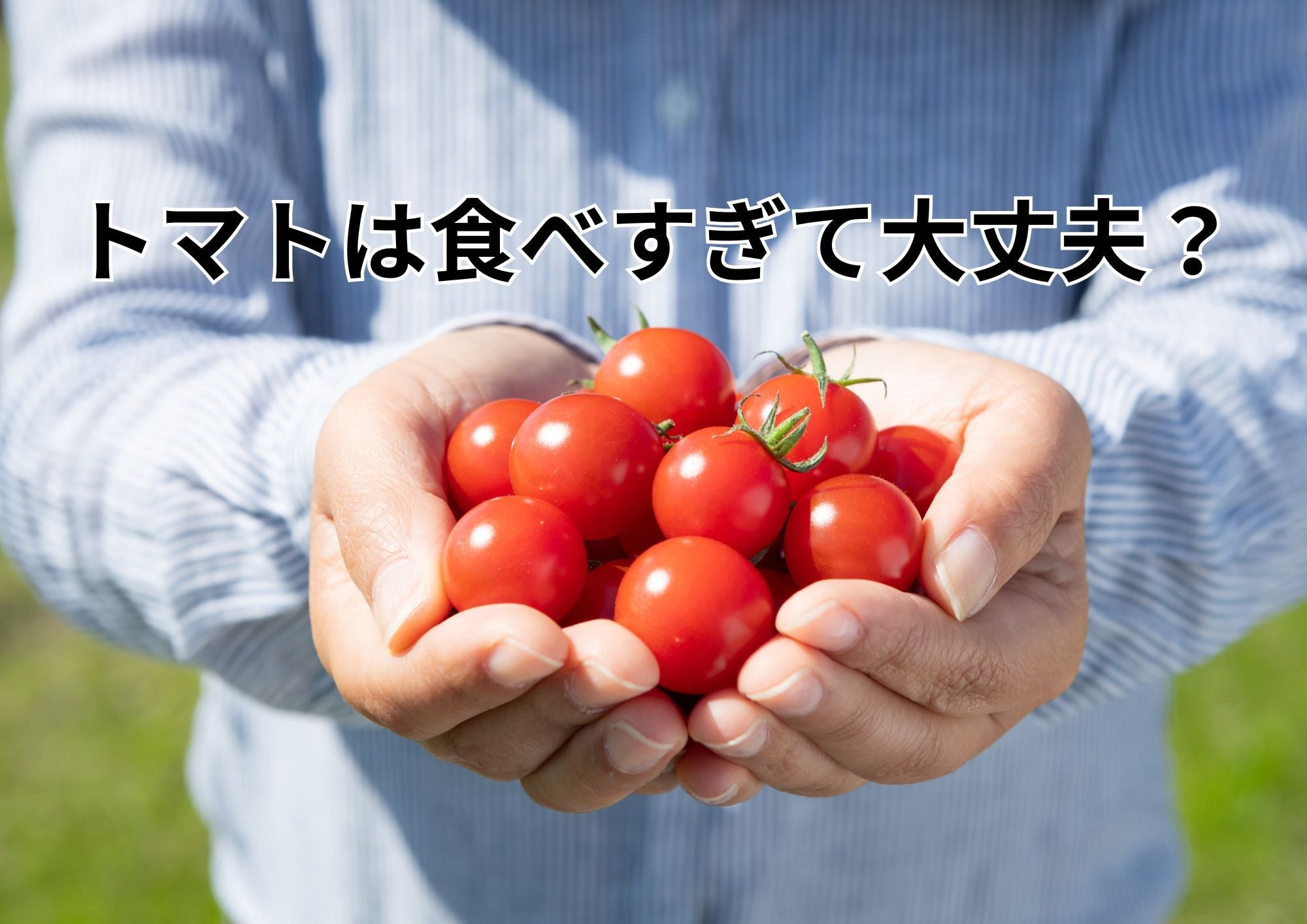 トマトの食べすぎは危険？健康効果と知っておきたい5つのリスク、カロリーも解説