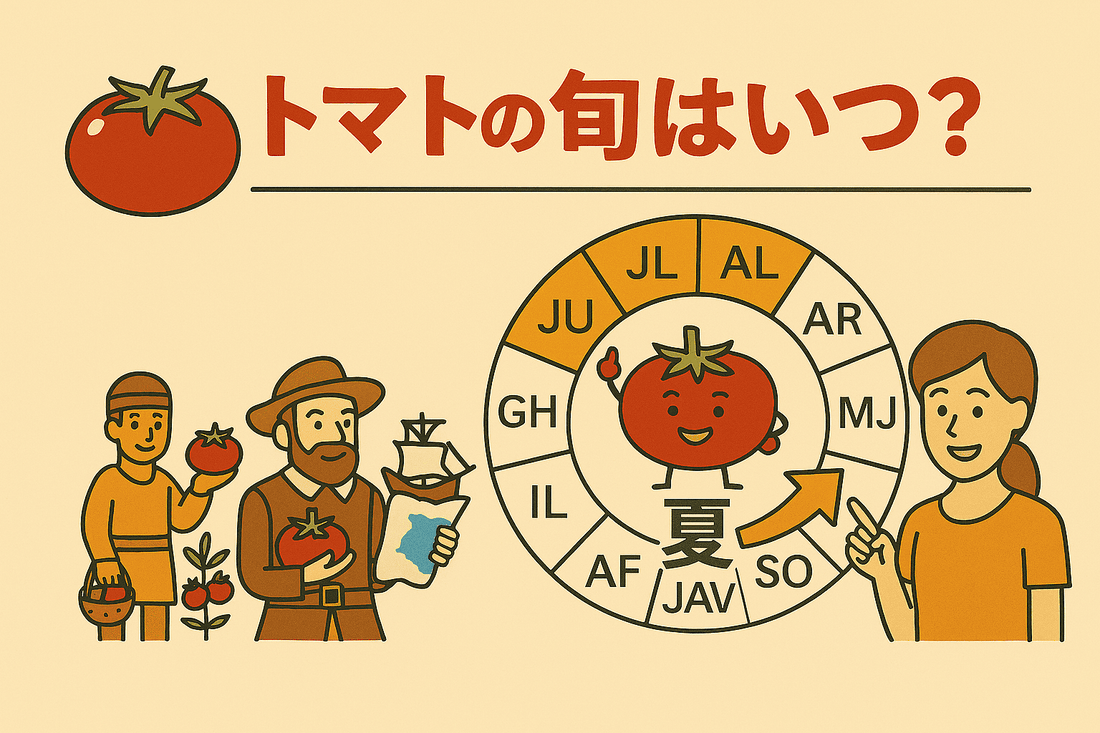 トマトの旬はいつ？トマト農家が教える美味しい時期と選び方