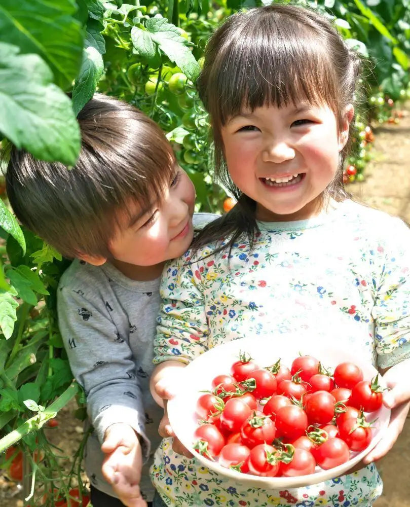 ビニールハウスの中で子供二人がお皿に山盛りのミニトマトを持って笑顔