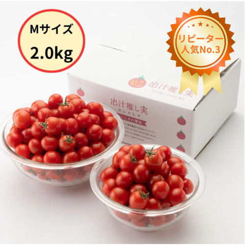 【12月中旬発送・リピーター続出2kg】止まらない旨み！極うまミニトマト｜薄皮・出汁の深い味わい（送料無料）