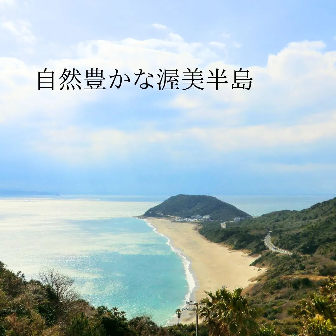 渥美半島の海岸線と白い砂浜、青い海を見下ろす風景写真、「自然豊かな渥美半島」の文字入り