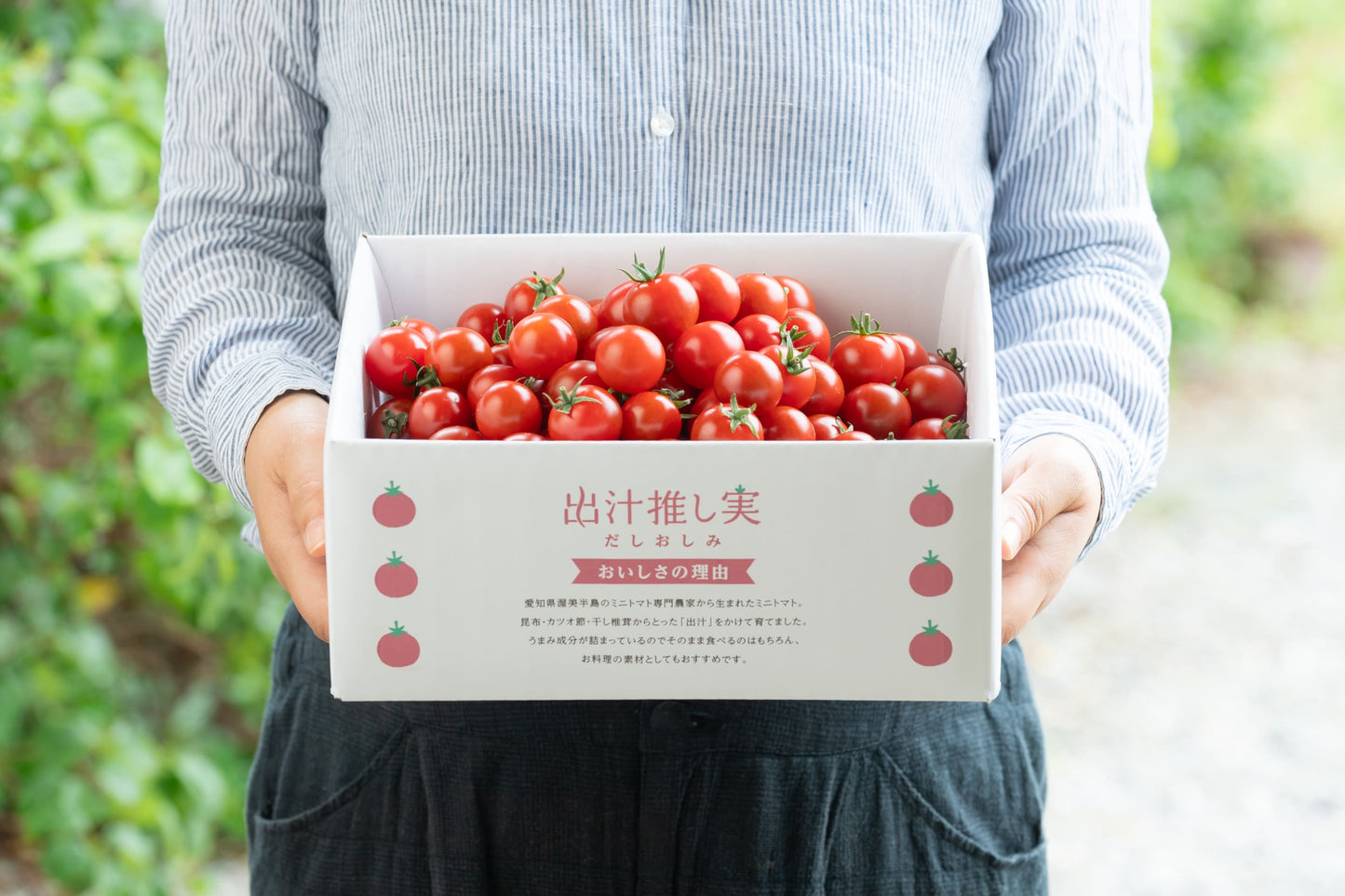 【12月中旬発送・業務用サイズ！3kg】旨みで選ばれる“プロも納得”の出汁ミニトマト
