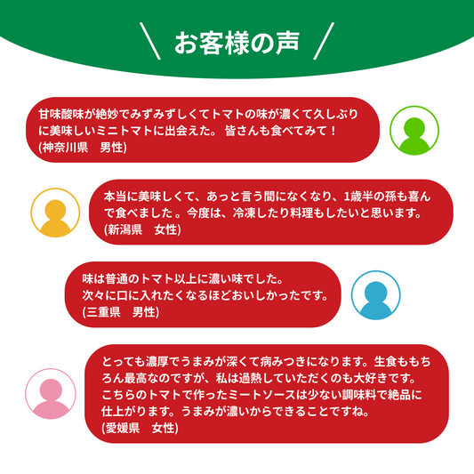 「お客様の声」というタイトルの下に、神奈川・新潟・三重・愛媛のお客様4名分の感想コメントが吹き出しで並ぶテキストバナー